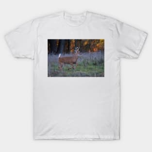 Scent of a Doe - White-tailed deer T-Shirt